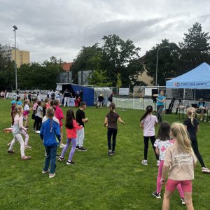 Mělnický festival sportu 2026